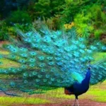 Burung dalam Mitologi dan Simbolisme Budaya di Berbagai Negara